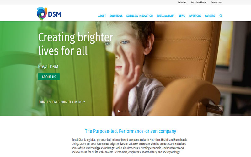 dsm.com